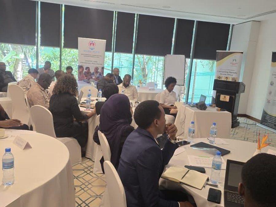 Delegates seated at the TEE launch, Hyatt Regency, Dar es Salaam